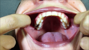 www.misswhitneymorgan.com - Get Deep Inside Brenda Bound's Mouth thumbnail
