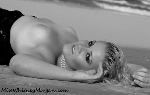 www.misswhitneymorgan.com - Miss Whitney Morgan: Ship Wrecked thumbnail