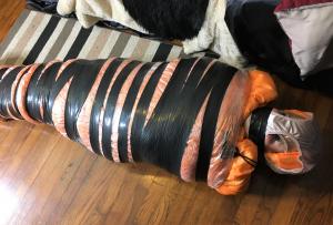 www.misswhitneymorgan.com - Extreme Mumification Of Miss Whitney Morgan - Photos thumbnail