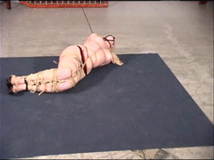 www.misswhitneymorgan.com - Whitney: Balancing Act by Lew Rubens thumbnail